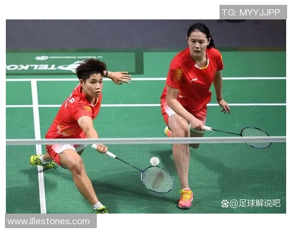 羽毛球的魅力：深入解析南京羽毛球队的默契配合与战术策略